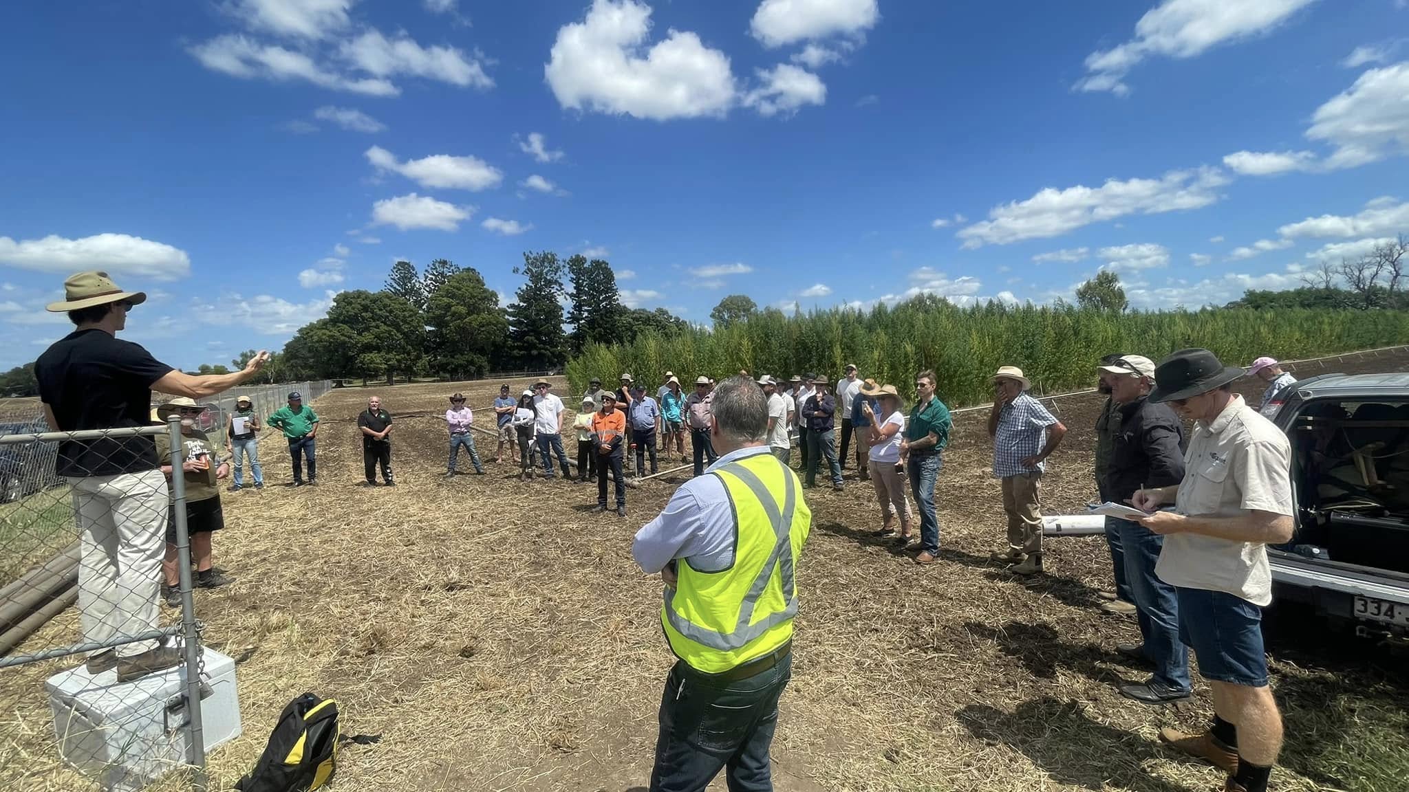 southern hemp field visits